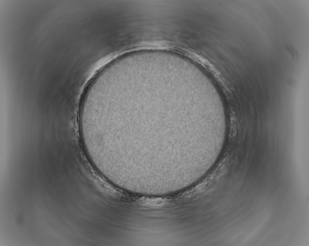 X0000111591168200908271003