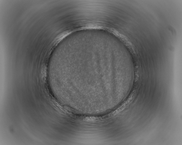 X0000111591169200908271003