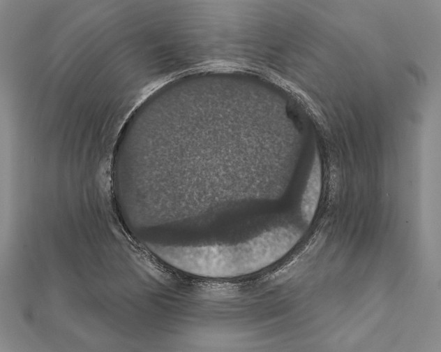 X0000111591170200908271003