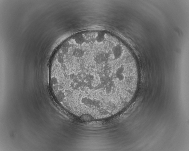X0000111591171200908271003