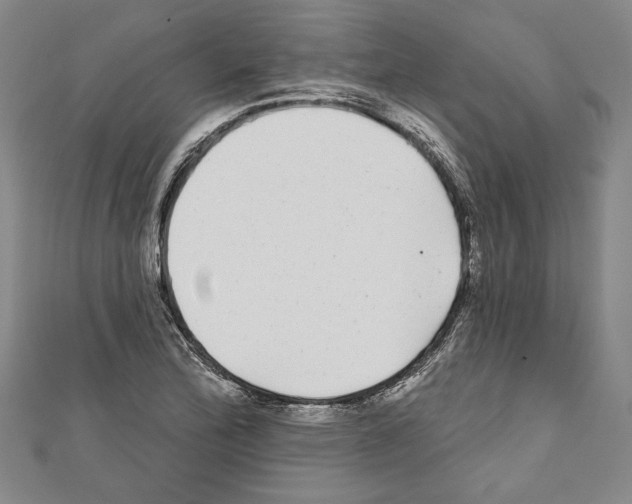 X0000111591172200908271003