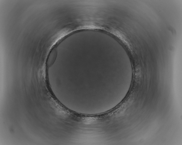X0000111591173200908271003