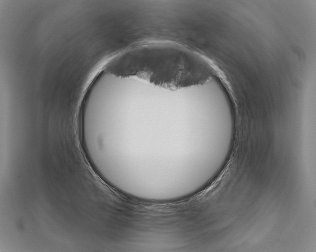 X0000111591175200908271003
