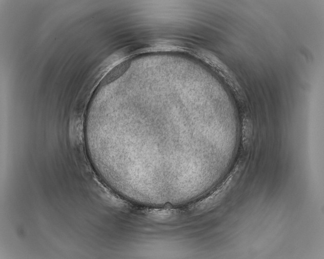 X0000111591177200908271003