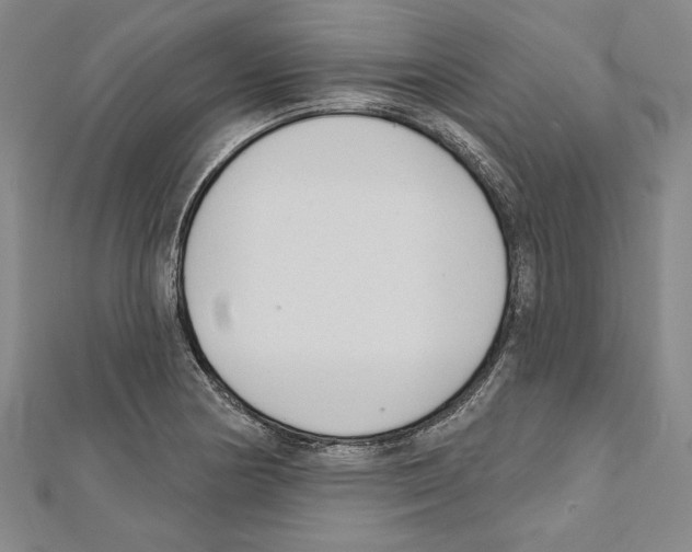 X0000111591178200908271003