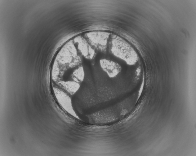 X0000111591179200908271003