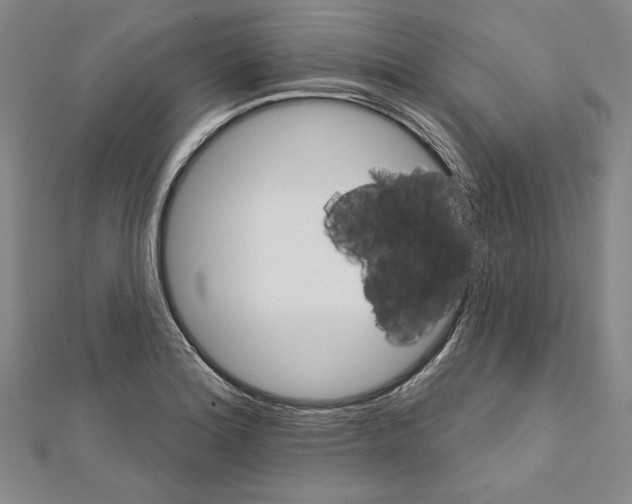 X0000111591180200908271003