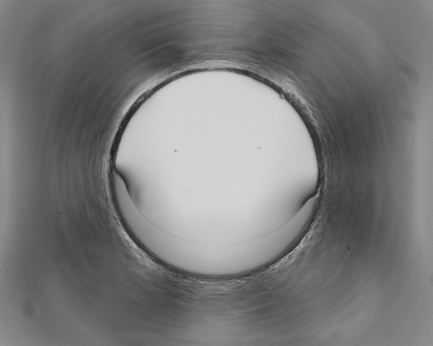 X0000111591181200908271003