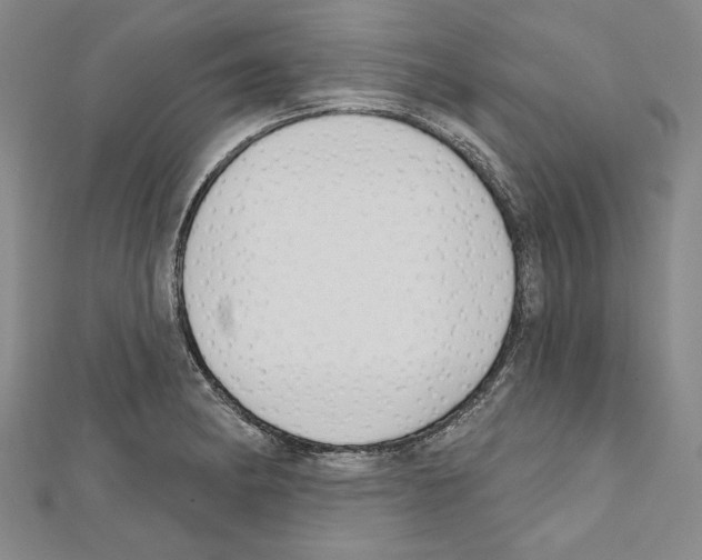 X0000111591182200908271003
