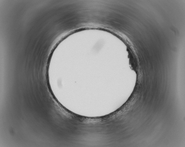 X0000111591183200908271003