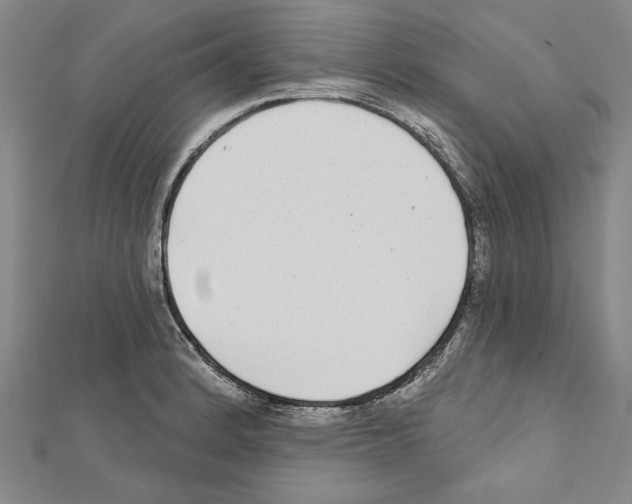 X0000111591184200908271003