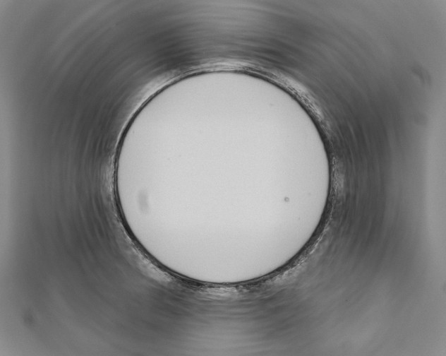 X0000111591186200908271003