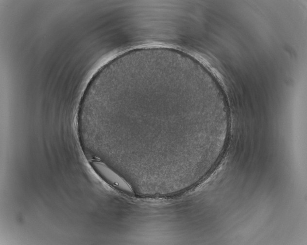 X0000111591189200908271003