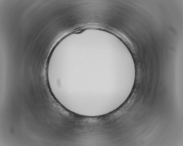 X0000111591190200908271003