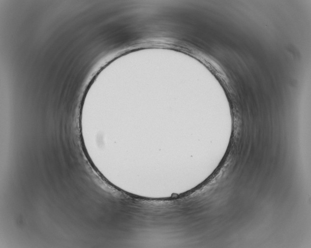 X0000111591192200908271003