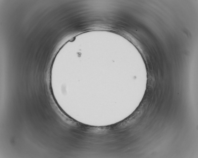 X0000111591195200908271002