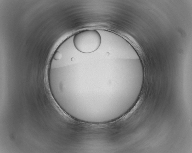 X0000111591196200908271002