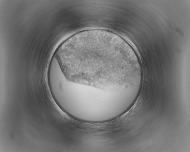 X0000111591197200908271002