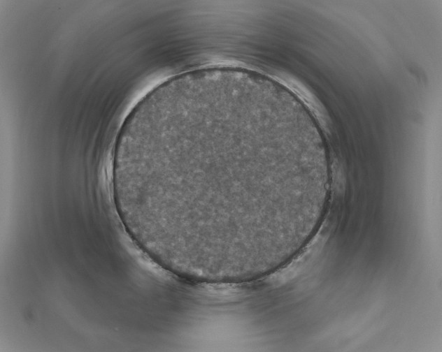 X0000111591198200908271002