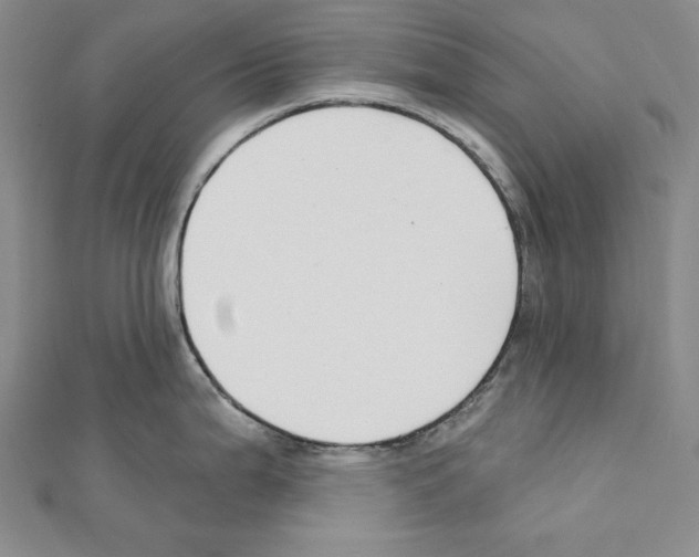 X0000111591199200908271002