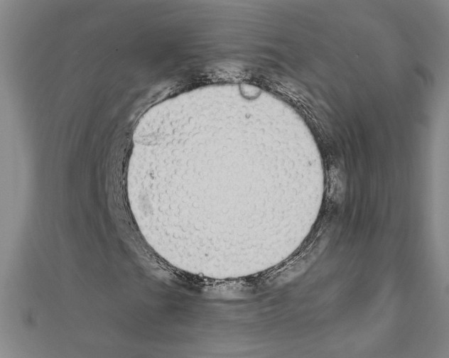 X0000111591201200908271001