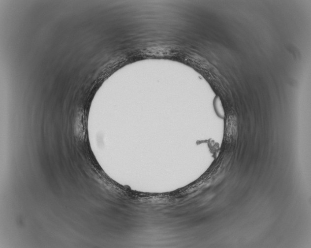 X0000111591202200908271001
