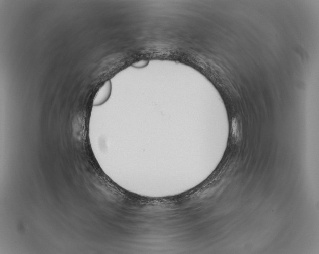X0000111591203200908271001