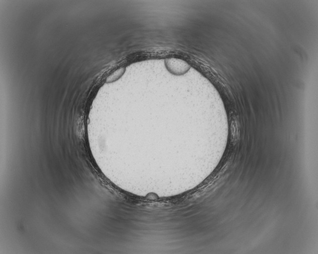 X0000111591204200908271001