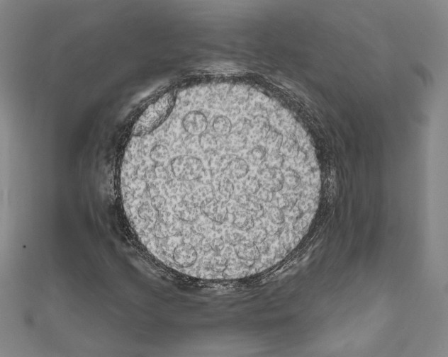 X0000111591205200908271001