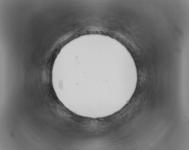 X0000111591207200908271002
