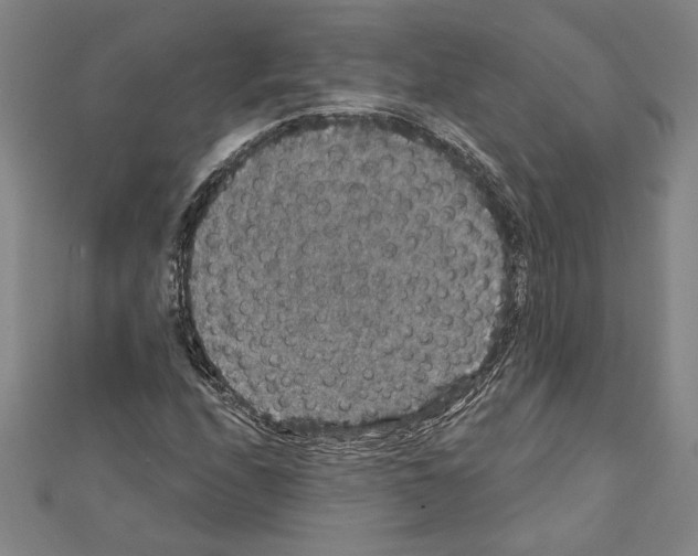X0000111591208200908271002