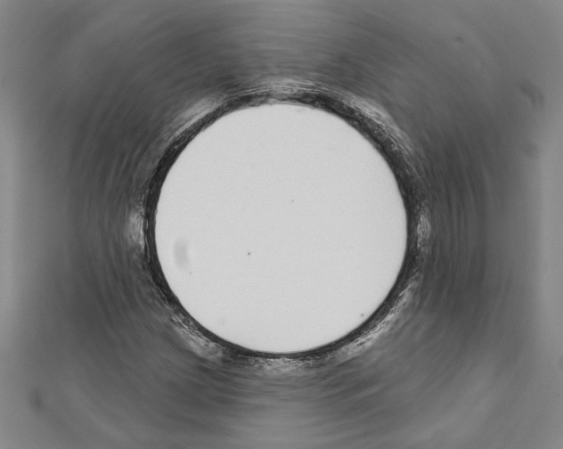 X0000111591209200908271002