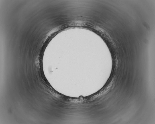 X0000111591210200908271002