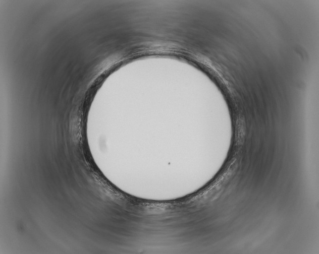 X0000111591211200908271002