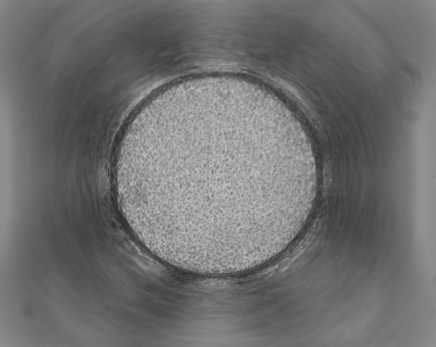 X0000111591212200908271002