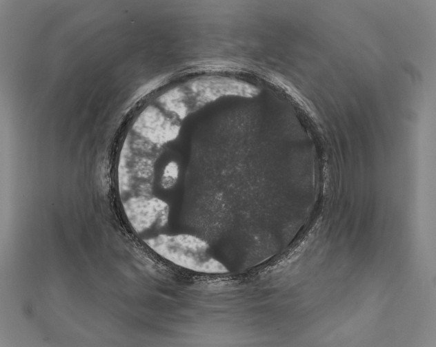 X0000111591213200908271002