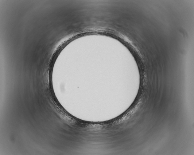 X0000111591214200908271002