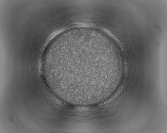 X0000111591215200908271002