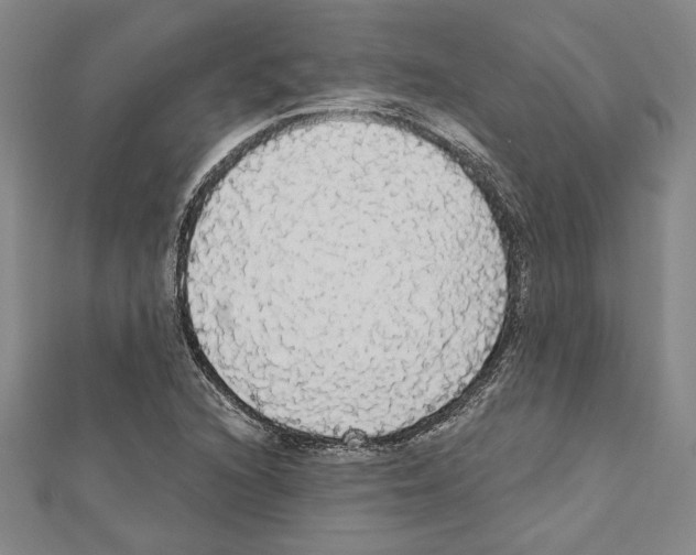 X0000111591216200908271002