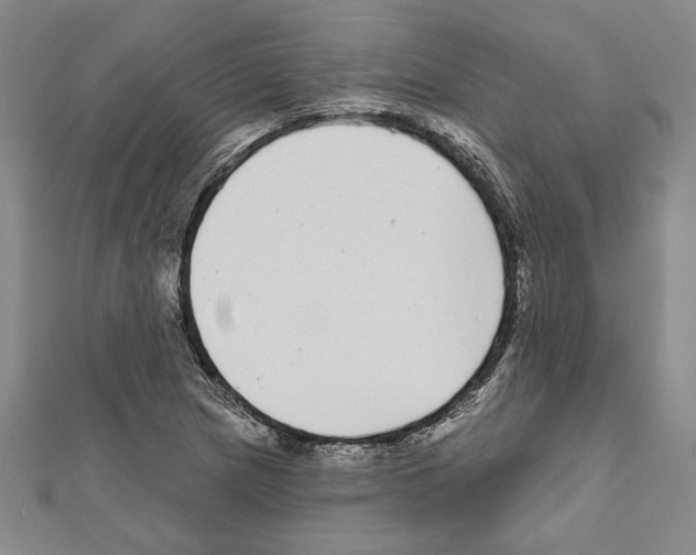 X0000111591217200908271002
