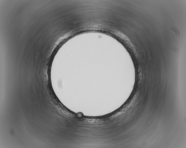 X0000111591218200908271002