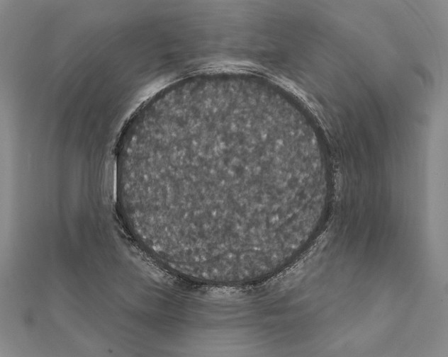 X0000111591219200908271002