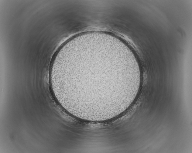 X0000111591220200908271002