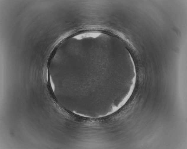 X0000111591221200908271002