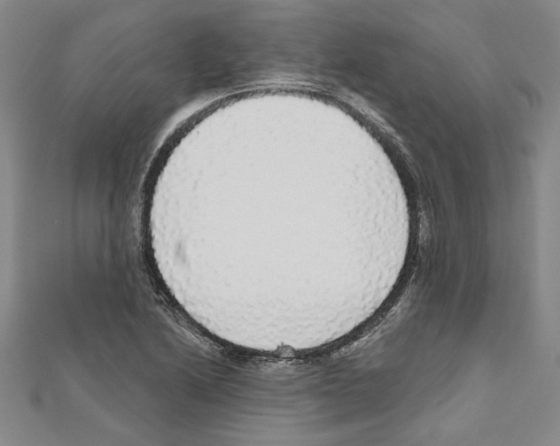 X0000111591222200908271002