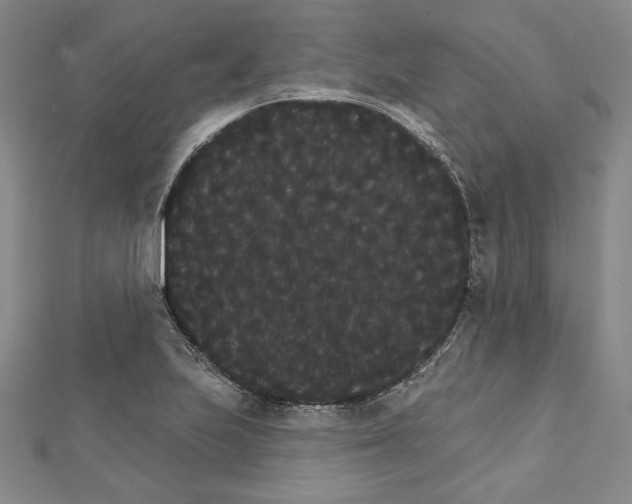X0000111591223200908271002