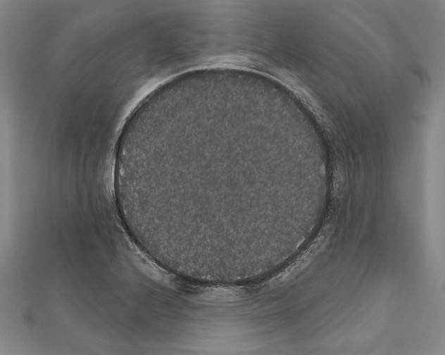 X0000111591224200908271002