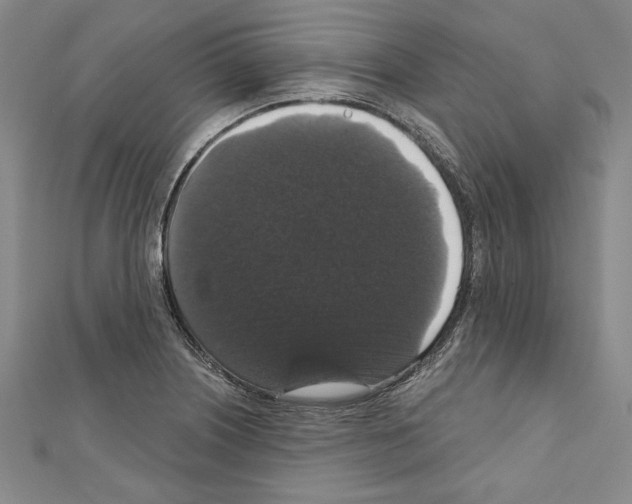 X0000111591226200908271002