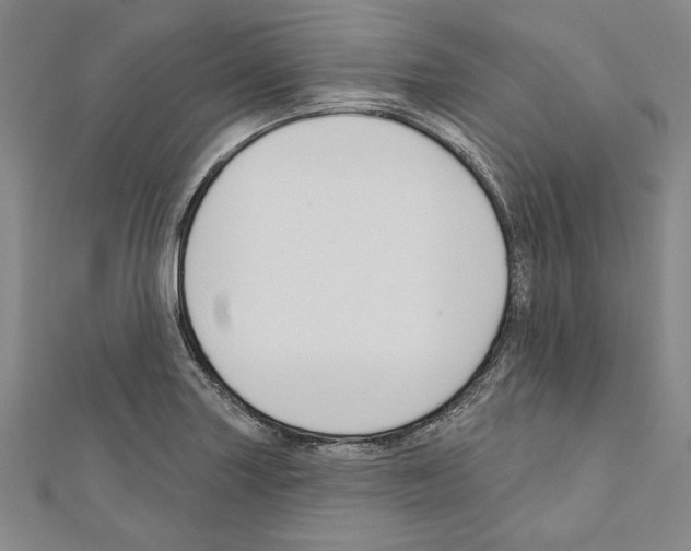 X0000111591227200908271002
