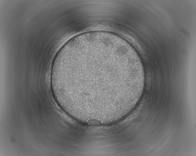 X0000111591228200908271002